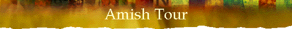 Amish Tour